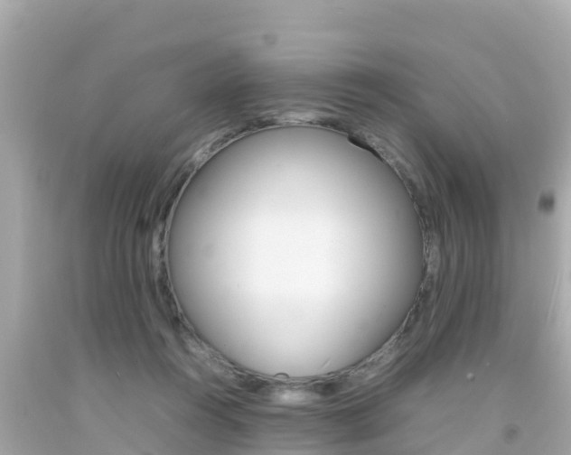X0000092050360200709121029