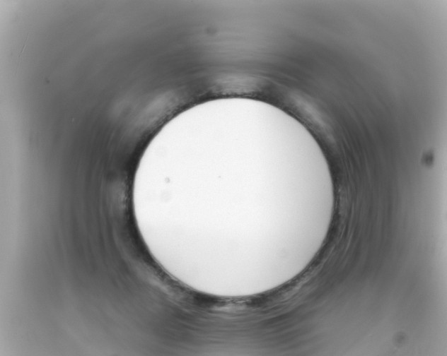 X0000092050362200709121030