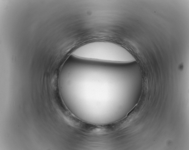 X0000092050364200709121030
