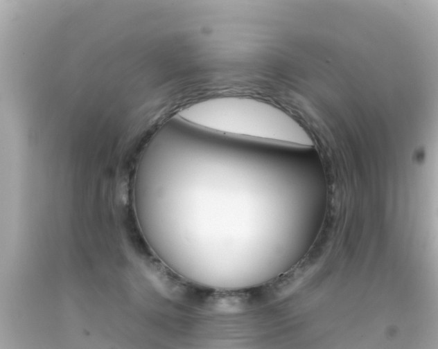 X0000092050368200709121030