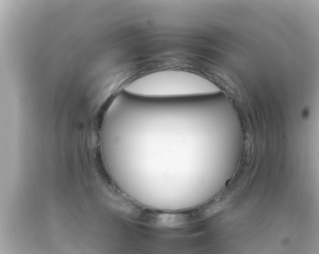 X0000092050371200709121030