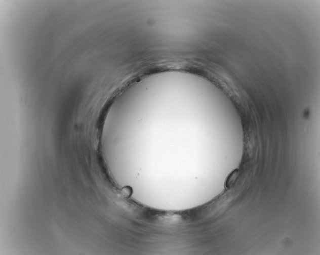 X0000092050374200709121030