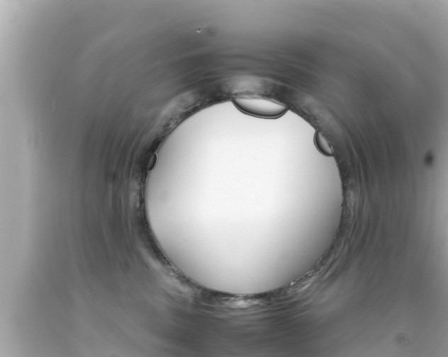 X0000092050379200709121030