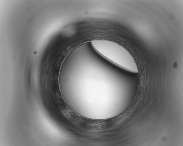 X0000092050383200709121030