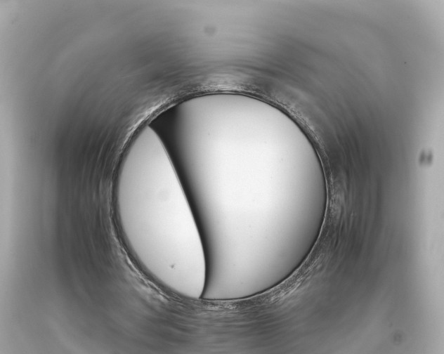 X0000092050386200709121029