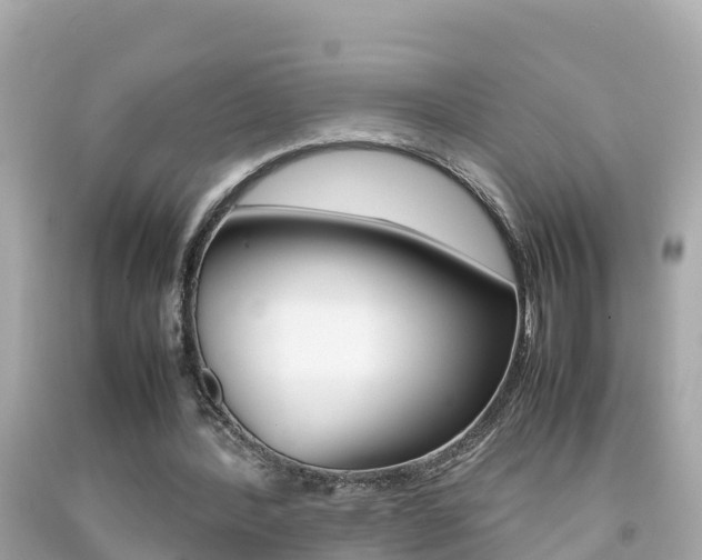X0000092050388200709121029