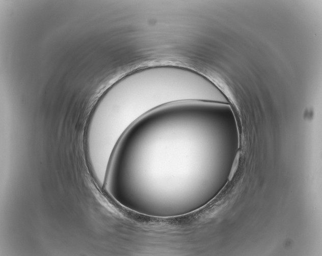 X0000092050389200709121029
