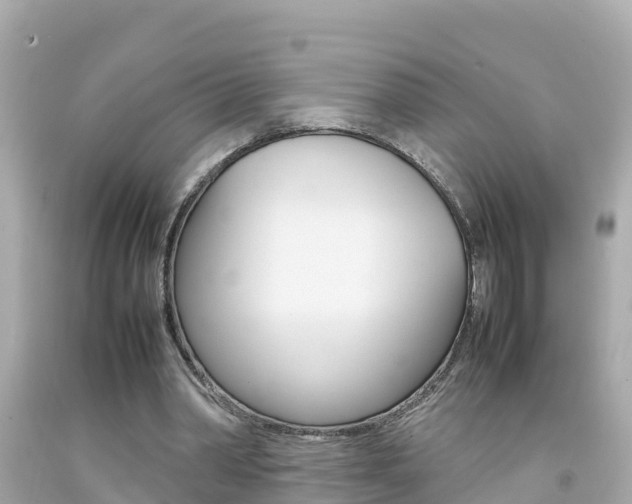 X0000092050390200709121029