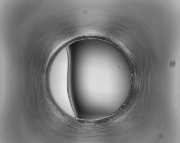 X0000092050391200709121029
