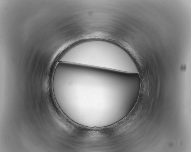 X0000092050392200709121029
