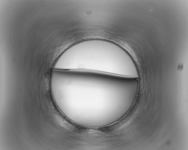 X0000092050393200709121029