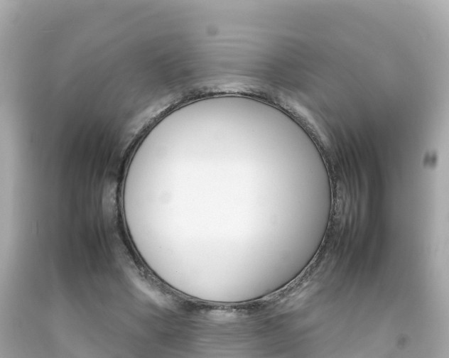 X0000092050394200709121029