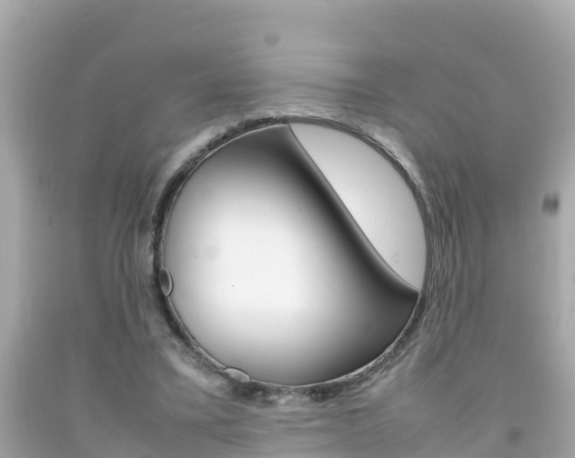 X0000092050395200709121029