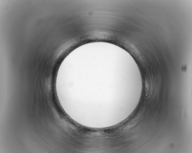 X0000092050396200709121029