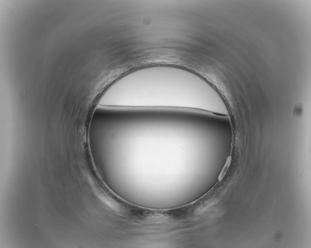 X0000092050397200709121029