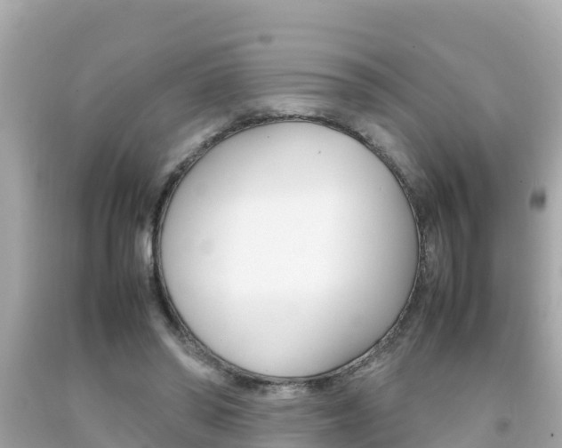 X0000092050398200709121029
