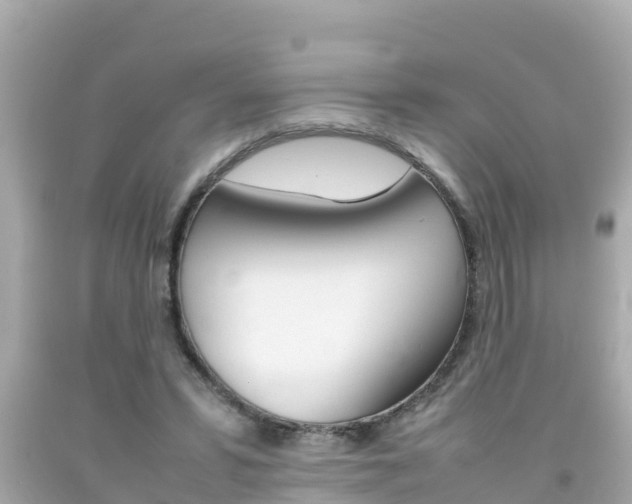 X0000092050399200709121029