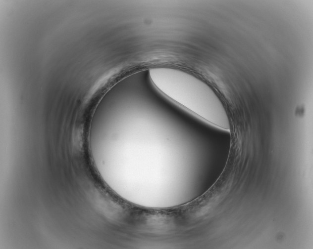 X0000092050400200709121029