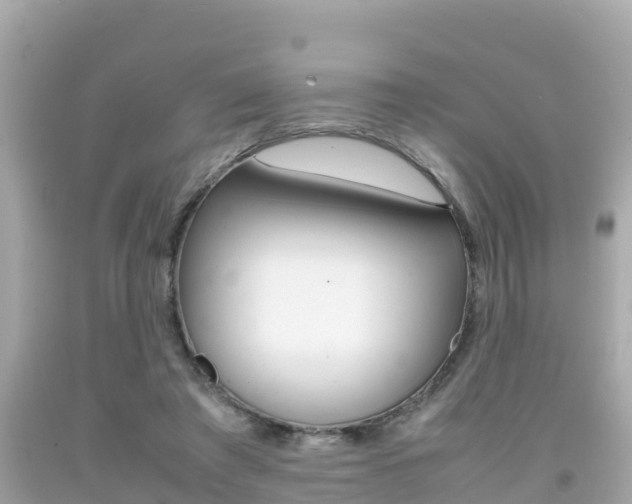 X0000092050401200709121029