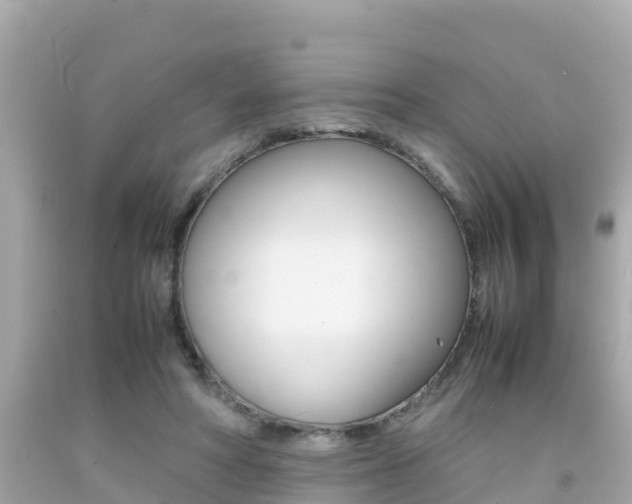 X0000092050402200709121029