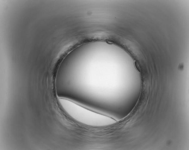 X0000092050403200709121029