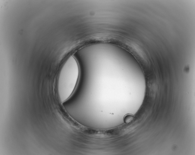 X0000092050404200709121029