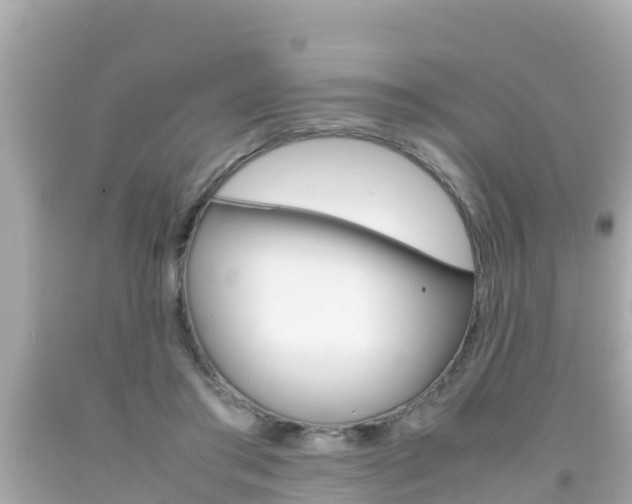 X0000092050405200709121029