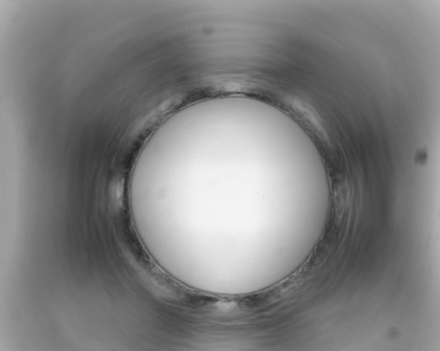 X0000092050406200709121029