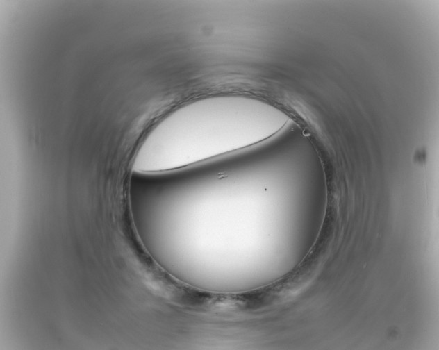 X0000092050407200709121029