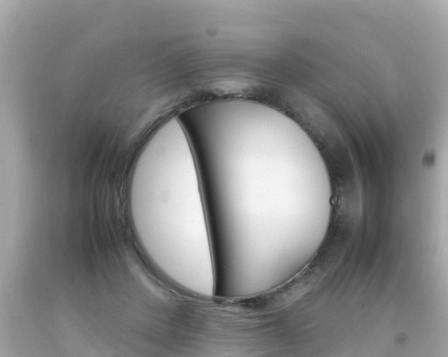 X0000092050408200709121029