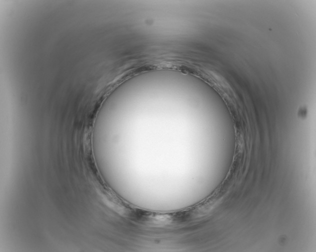 X0000092050409200709121029