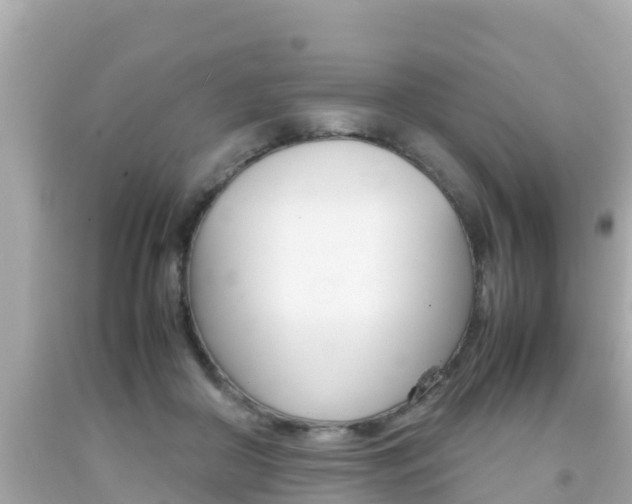 X0000092050410200709121029