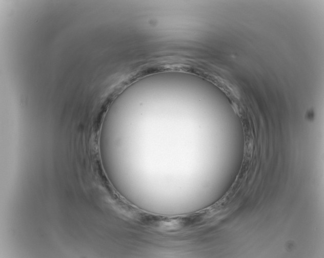 X0000092050411200709121029