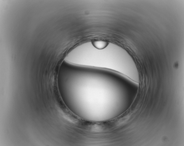 X0000092050412200709121029