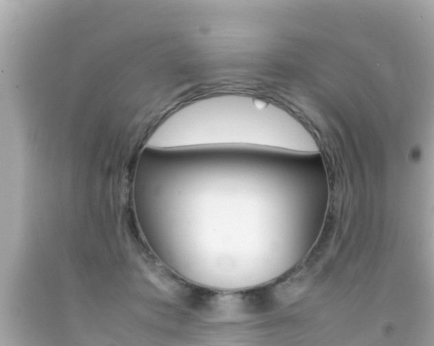 X0000092050413200709121029