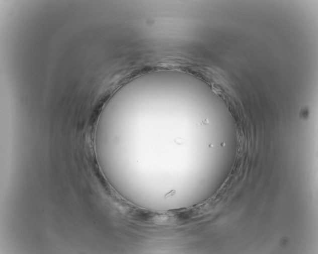 X0000092050415200709121029