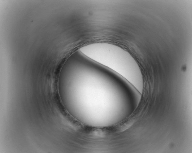 X0000092050416200709121029