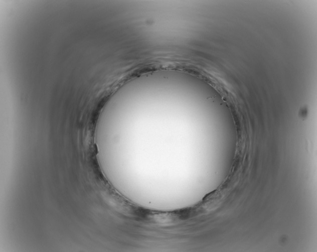 X0000092050417200709121029