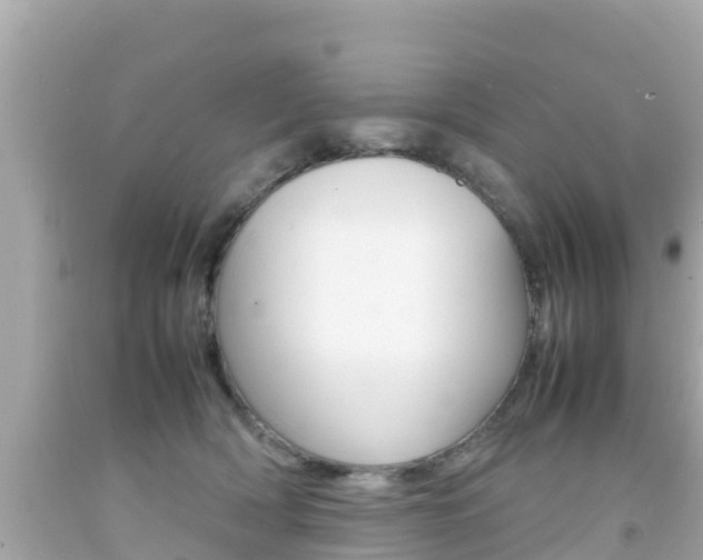 X0000092050418200709121029