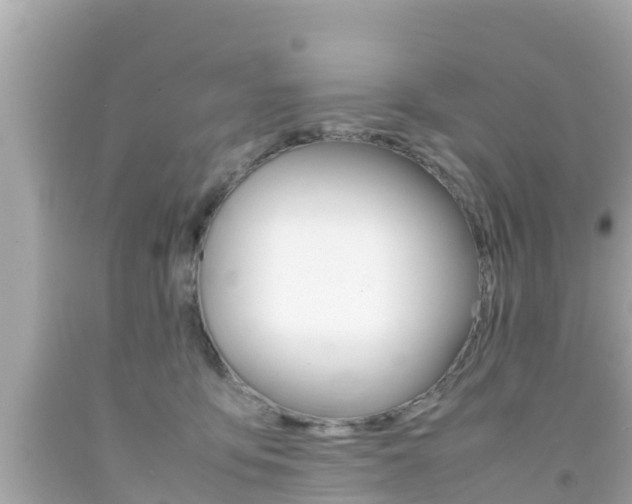 X0000092050419200709121029