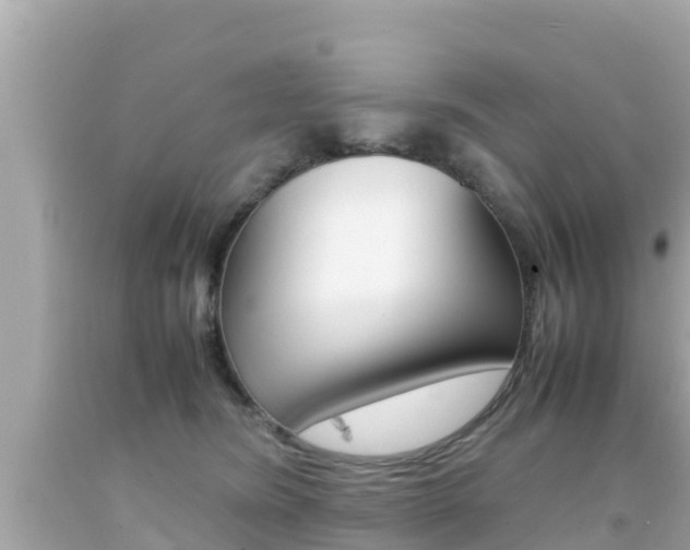 X0000092050420200709121029