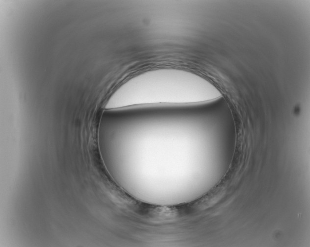 X0000092050421200709121029