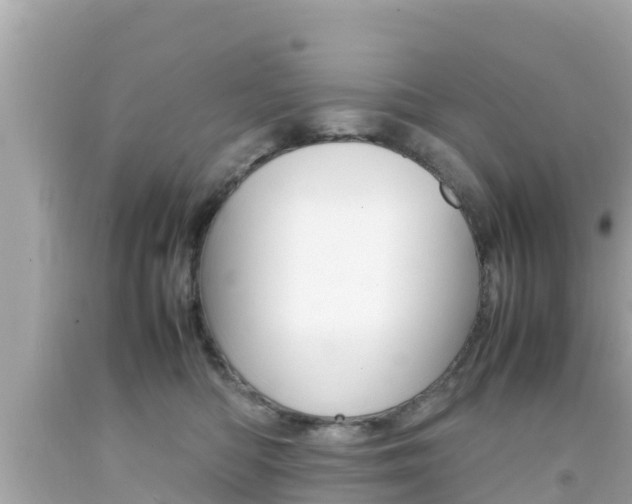 X0000092050422200709121029