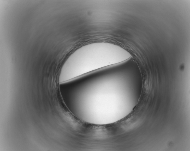 X0000092050424200709121029