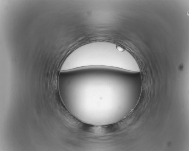 X0000092050425200709121029