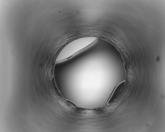 X0000092050428200709121029