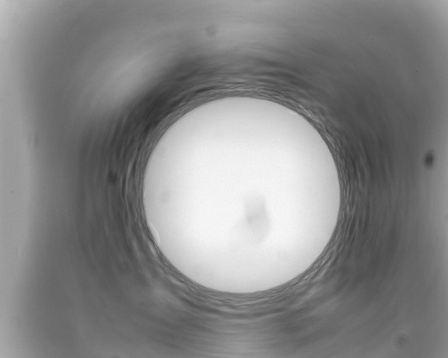 X0000092050431200709121029