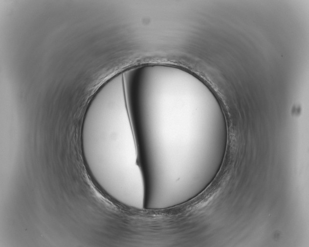 X0000092050433200709121028