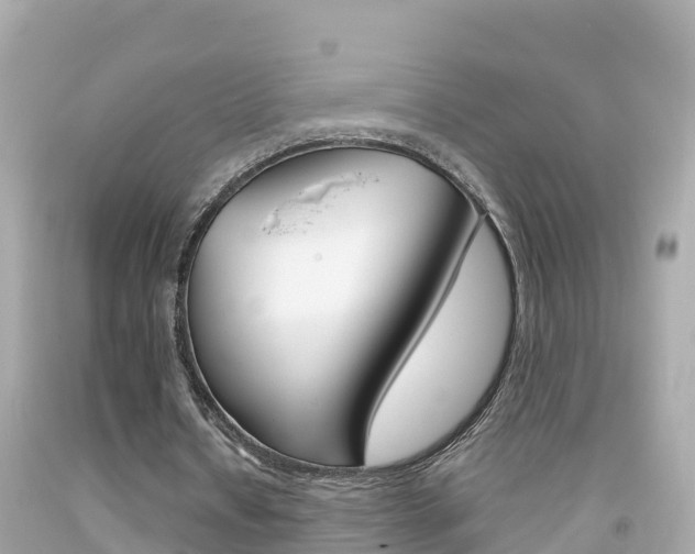 X0000092050434200709121028