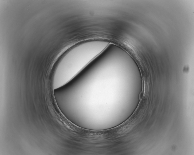 X0000092050435200709121028